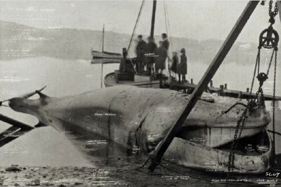 В Третьяковке сорвалась неприличная выставка