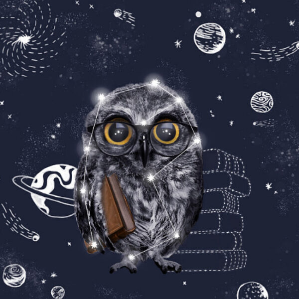 Библионочь онлайн 2021: встречи с космонавтами и писателями