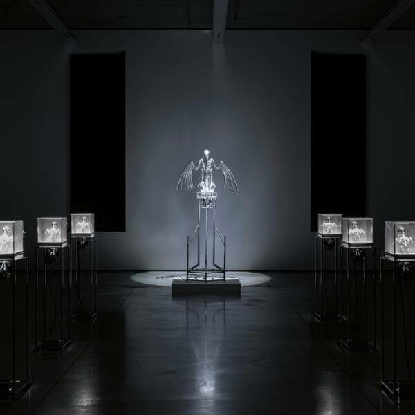 Выставка «Зона машин»