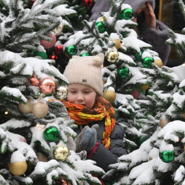 Выставка «Сказочная елка» на ВДНХ