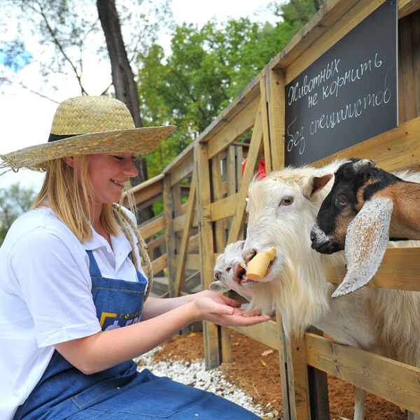 Фестиваль «Арбузник» на Городской Ферме ВДНХ