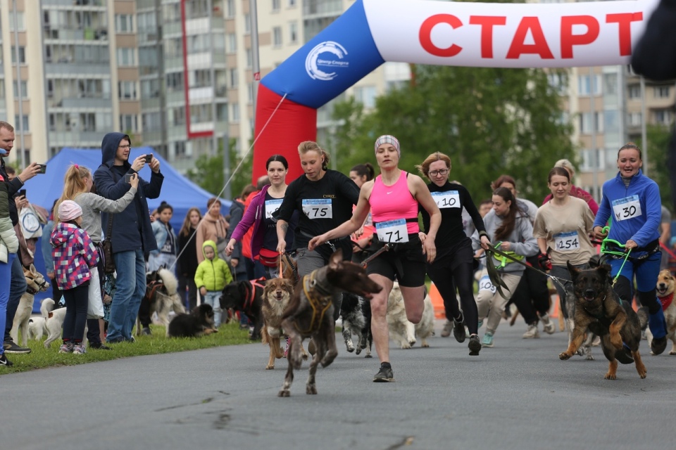 10 лучших идей для выходных в Санкт-Петербурге 9-10 октября 2021: сольник комика и забег во имя зверей