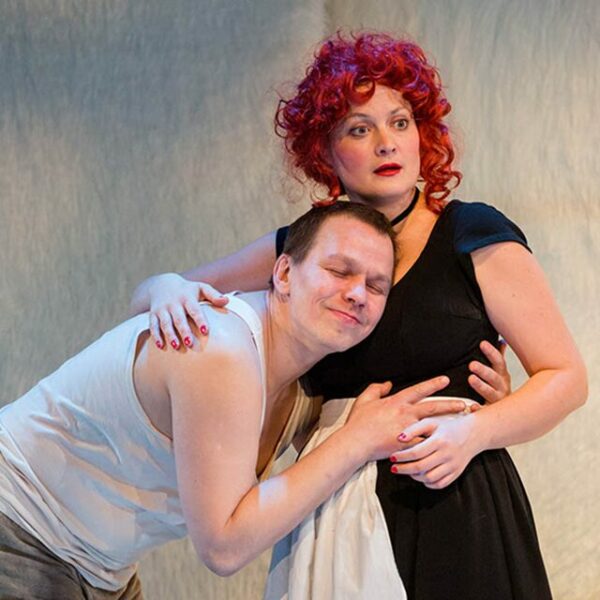 Спектакль «Дон Кихот»