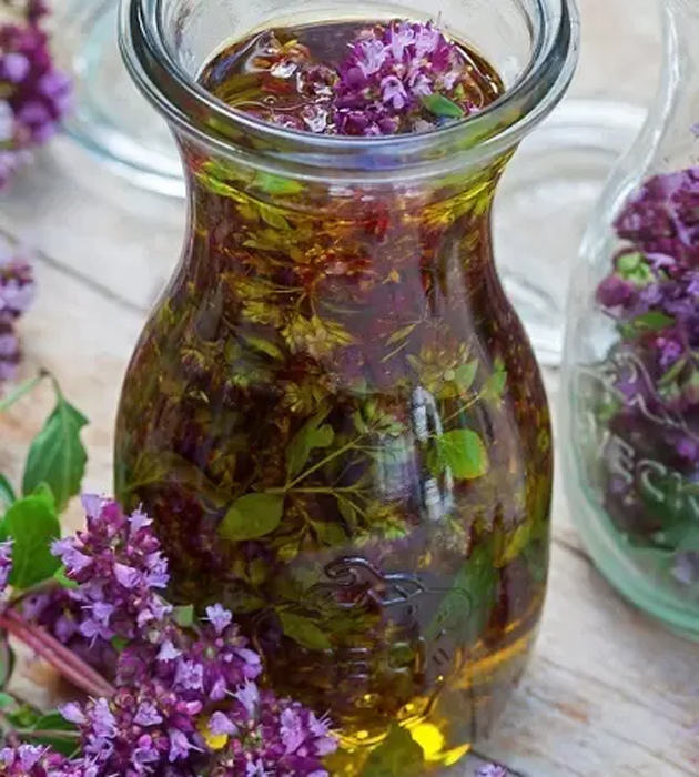 Отвар из душицы. Фото: globallookpress