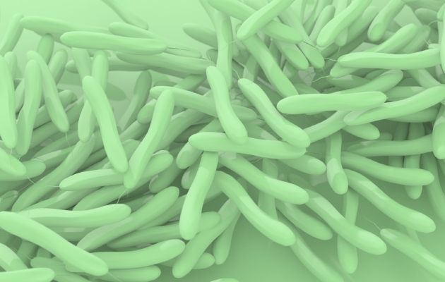 Холера у взрослых