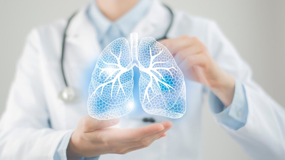 Легкие человека