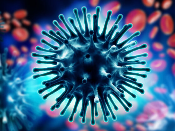 Уреаплазма: что это, как выглядит и передается, чем опасна для взрослых ...