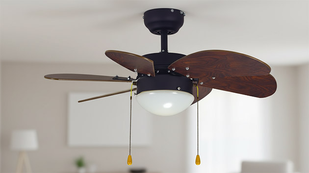 Dreamfan TURBO 76. Фото: Татьяна Фадеева / Нейросеть