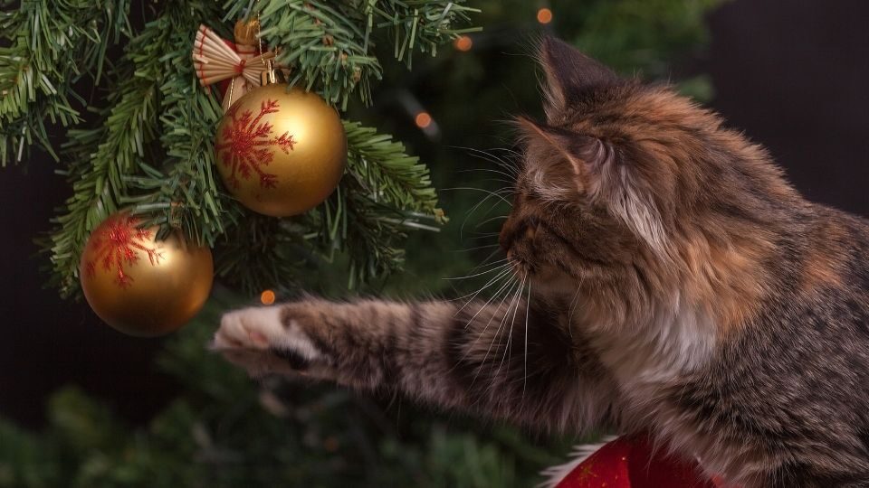 Старый Новый год 2026: история и традиции праздника