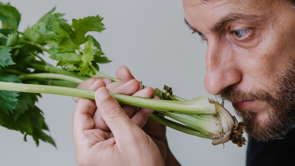 Посев в торфяные горшки