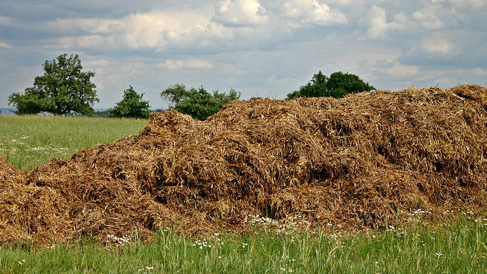 Органические удобрения