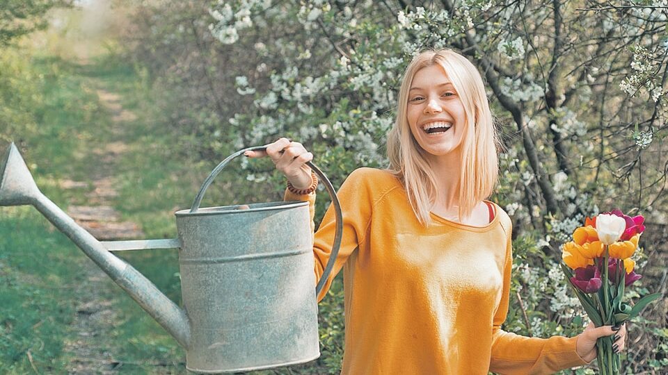 Подкормка растений: мифы и правда