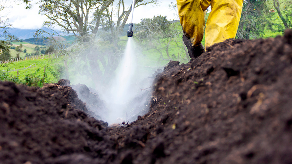 Лазурит от сорняков