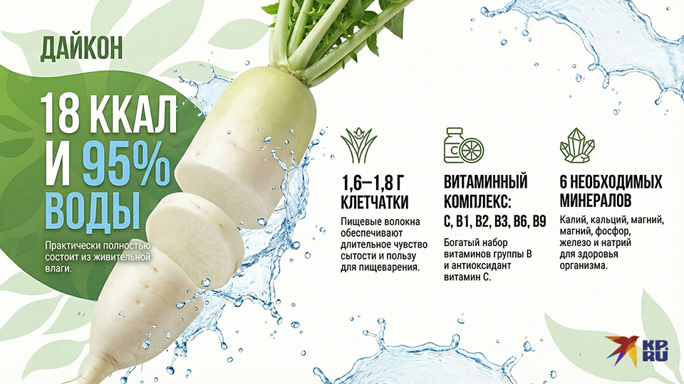 Состав и калорийность (КБЖУ) дайкона