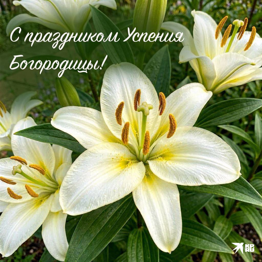 Красивые открытки с поздравлениями на праздник Успения Богородицы