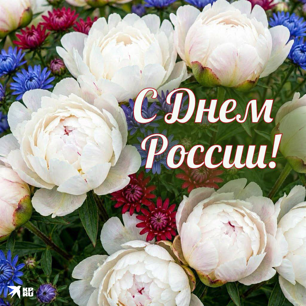 Популярные открытки на 12 июня