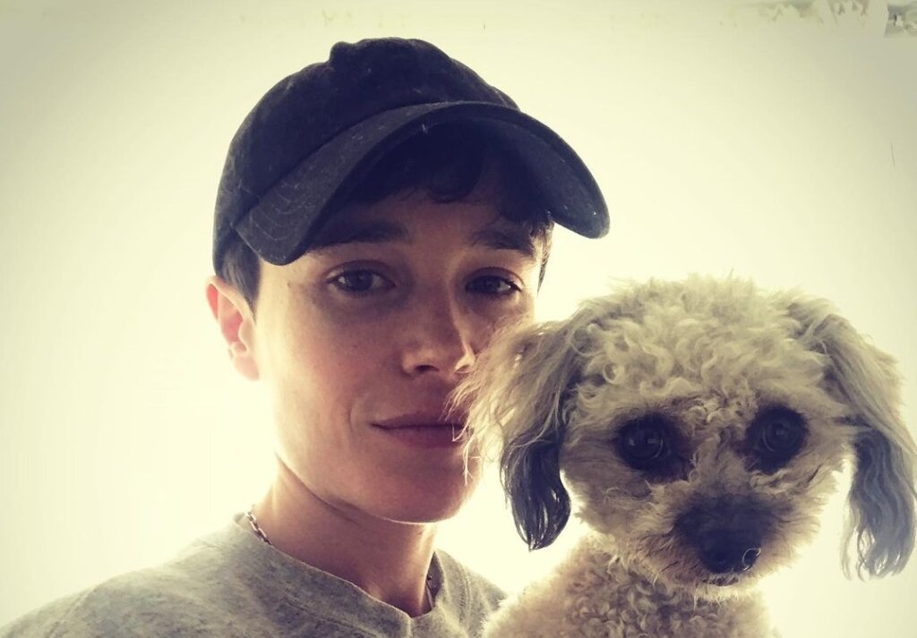 Звезда фильма «Начало» Пейдж показала свое мужское тело после операции по удалению груди