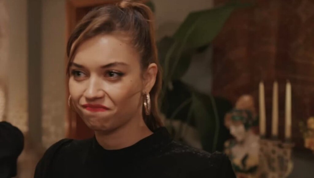 Пелин воссоединилась с Феритом, а Сейран снова осталась одна: Спойлеры и тизер седьмой серии второго сезона «Зимородка»