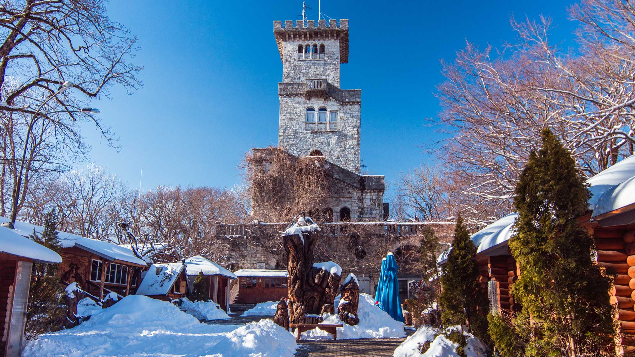 Новогодние Каникулы В Сочи Отзывы