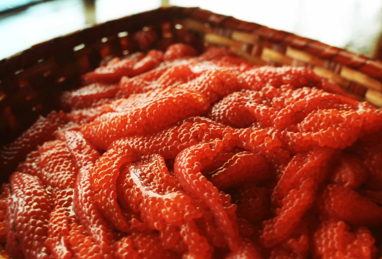 !экспедиция на курилы 173Image16