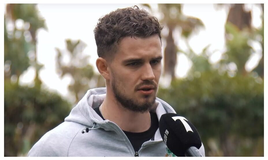 Илья Стефанович, футбол