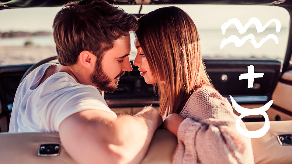 Совместимость Телец и Водолей