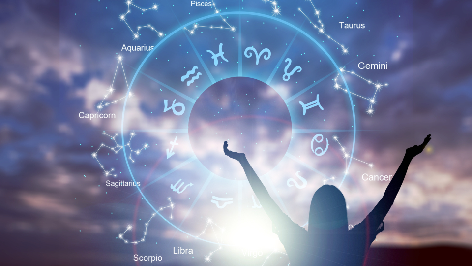 Какой знак зодиака в январе